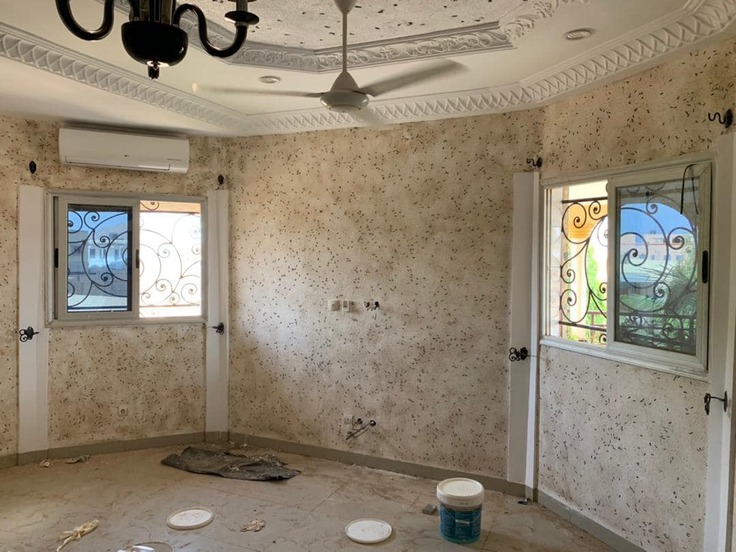 323440498_784336069497603_3000633578854583731_n