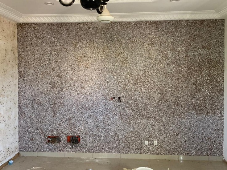 324406336_892404798595873_2244928268525261213_n